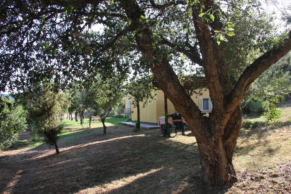Вилла Agriturismo S'Arxola Теулада Экстерьер фото